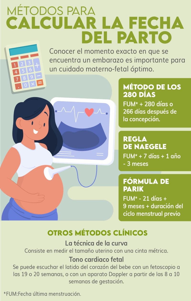 Mediante Imitación Andes Métodos para calcular la fecha del parto | DKV Quiero cuidarme