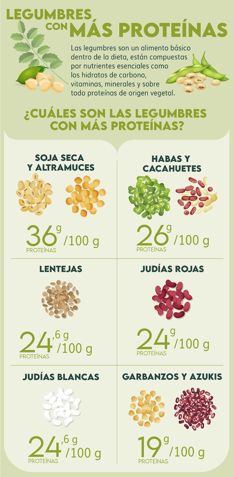 Legumbres Con Más Proteínas Dkv Quiero Cuidarme 6884