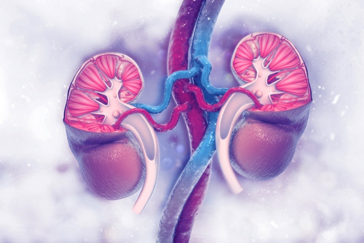 Eliminar piedras del riñón: básicos y tratamientos empleados | DKV Quiero cuidarme