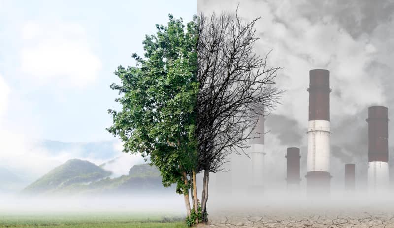 El cambio climático es uno de las grandes causas de la resistencia a antibióticos