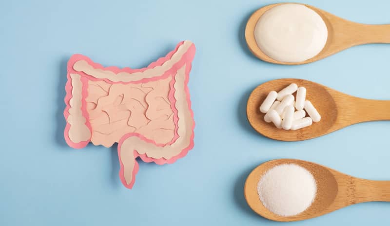 probióticos en alimentos, complementos y suplementos