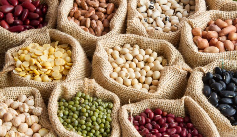 Proteína vegetal