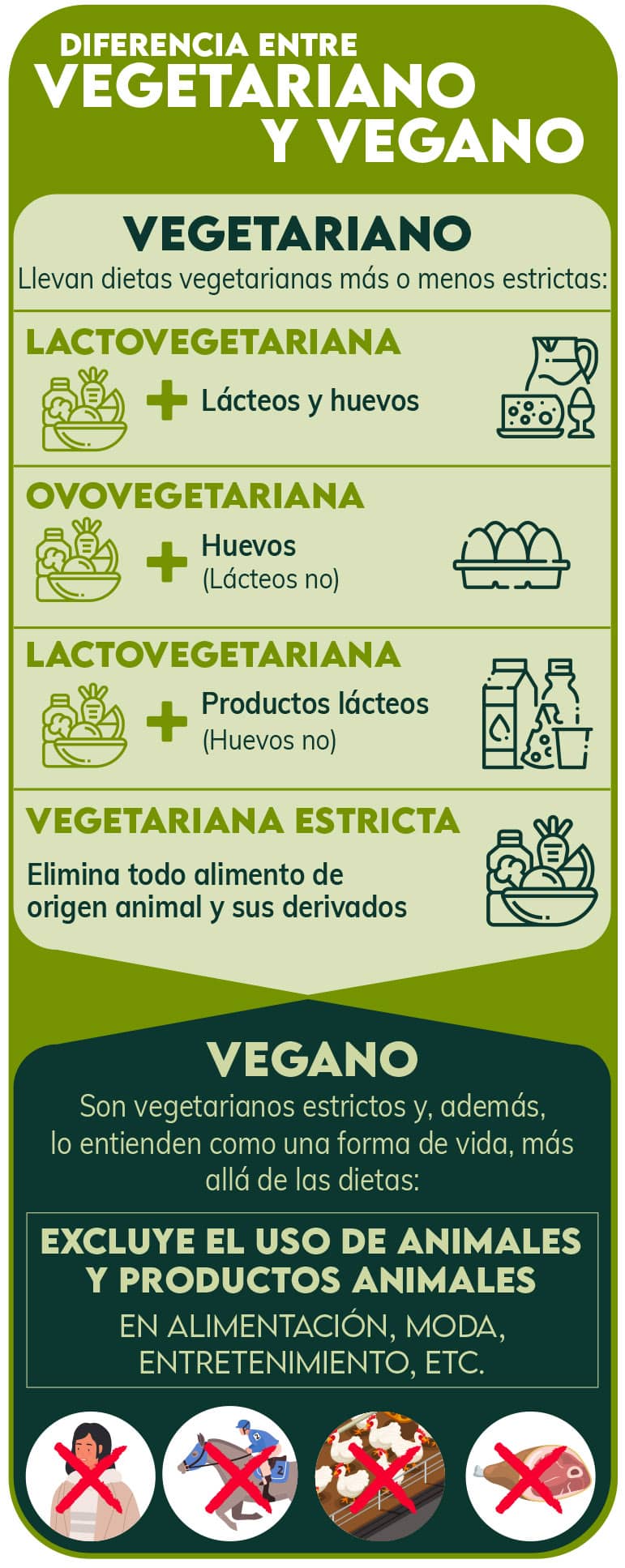 Diferencia Entre Vegano Y Vegetariano ¿cuál Es 4831