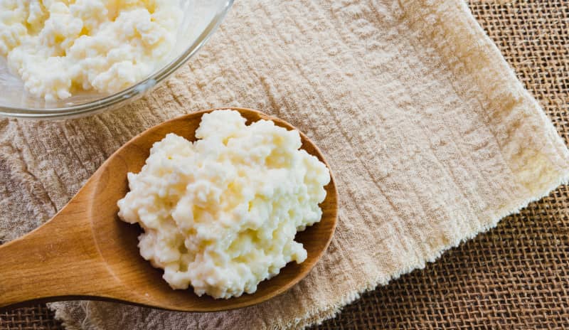alimentos fermentados