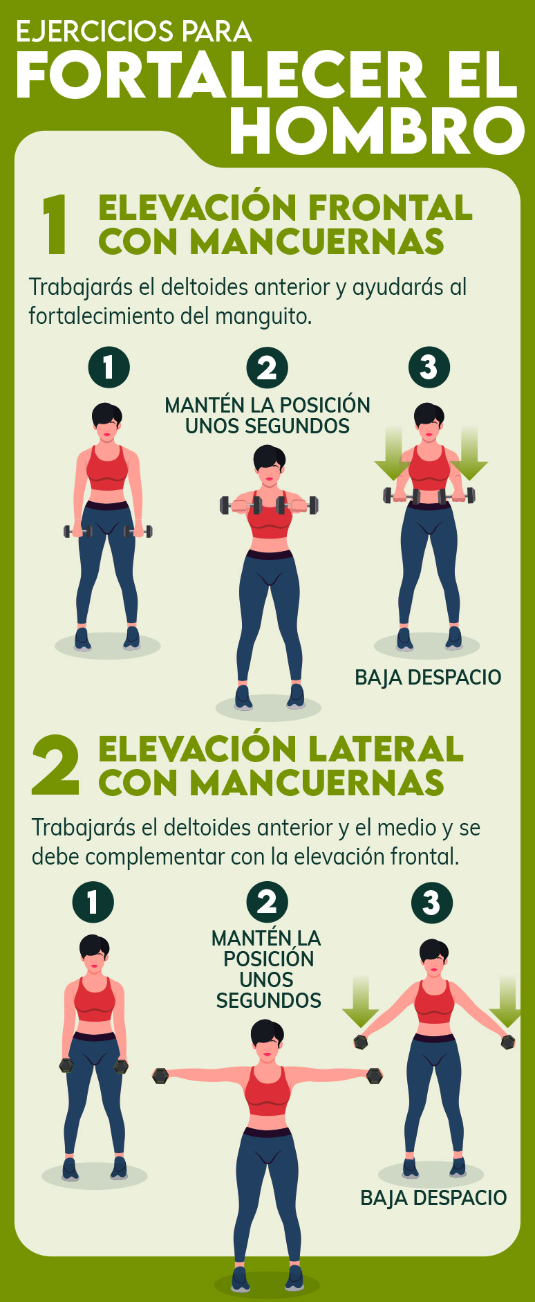 Infografía - Ejercicios para fortalecer el hombro
