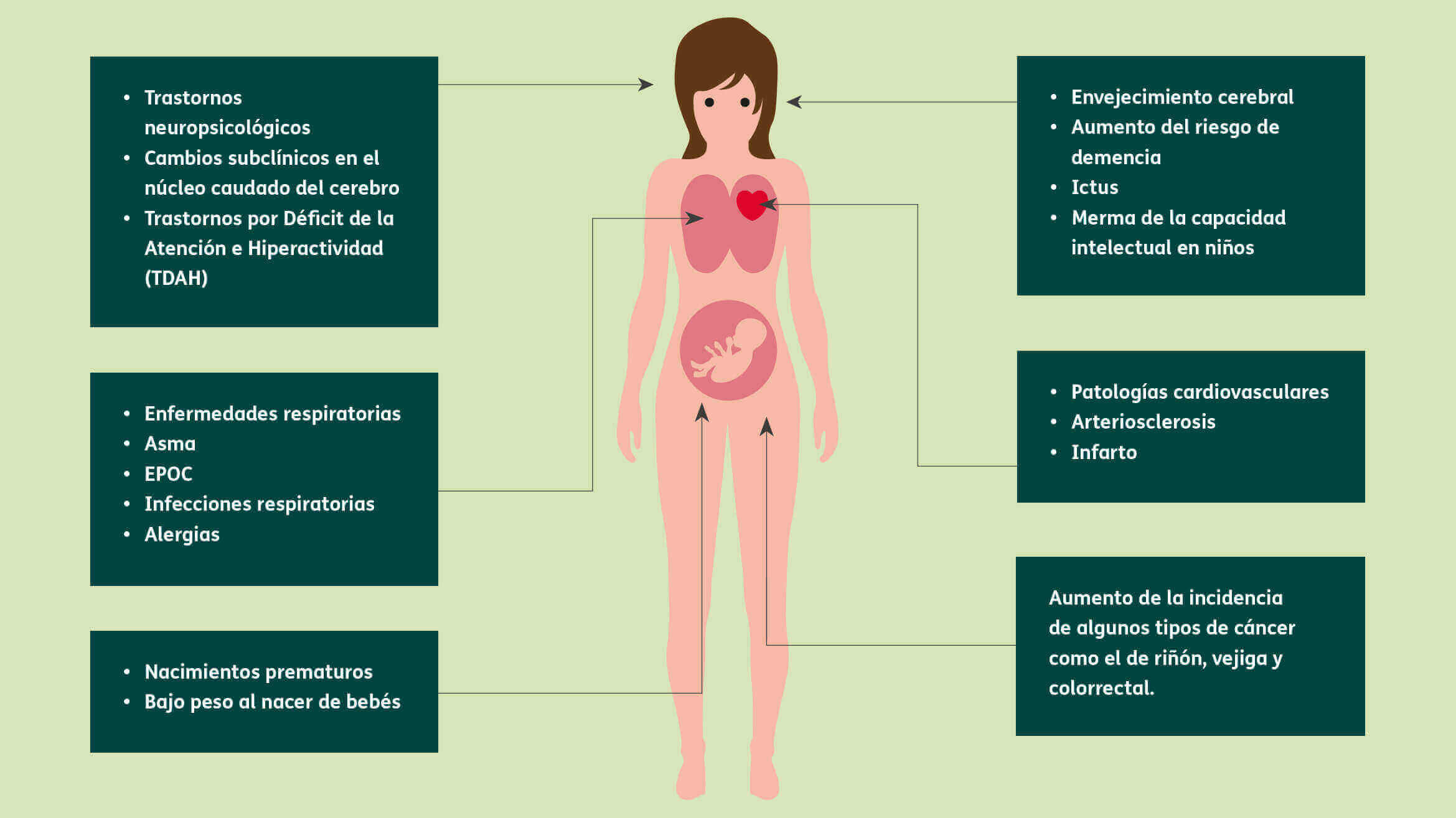 Infografía - Contaminación atmosférica