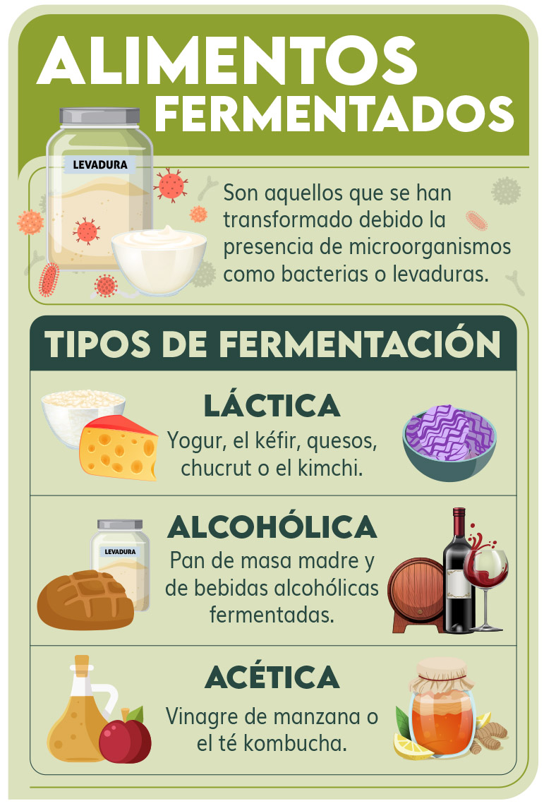 qc alimentos fermentados