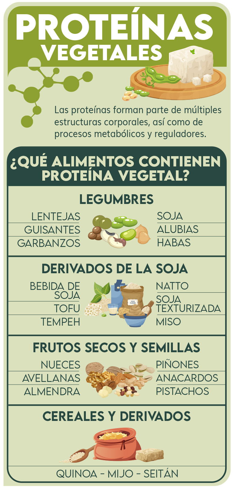 Infografía - Proteína vegetal