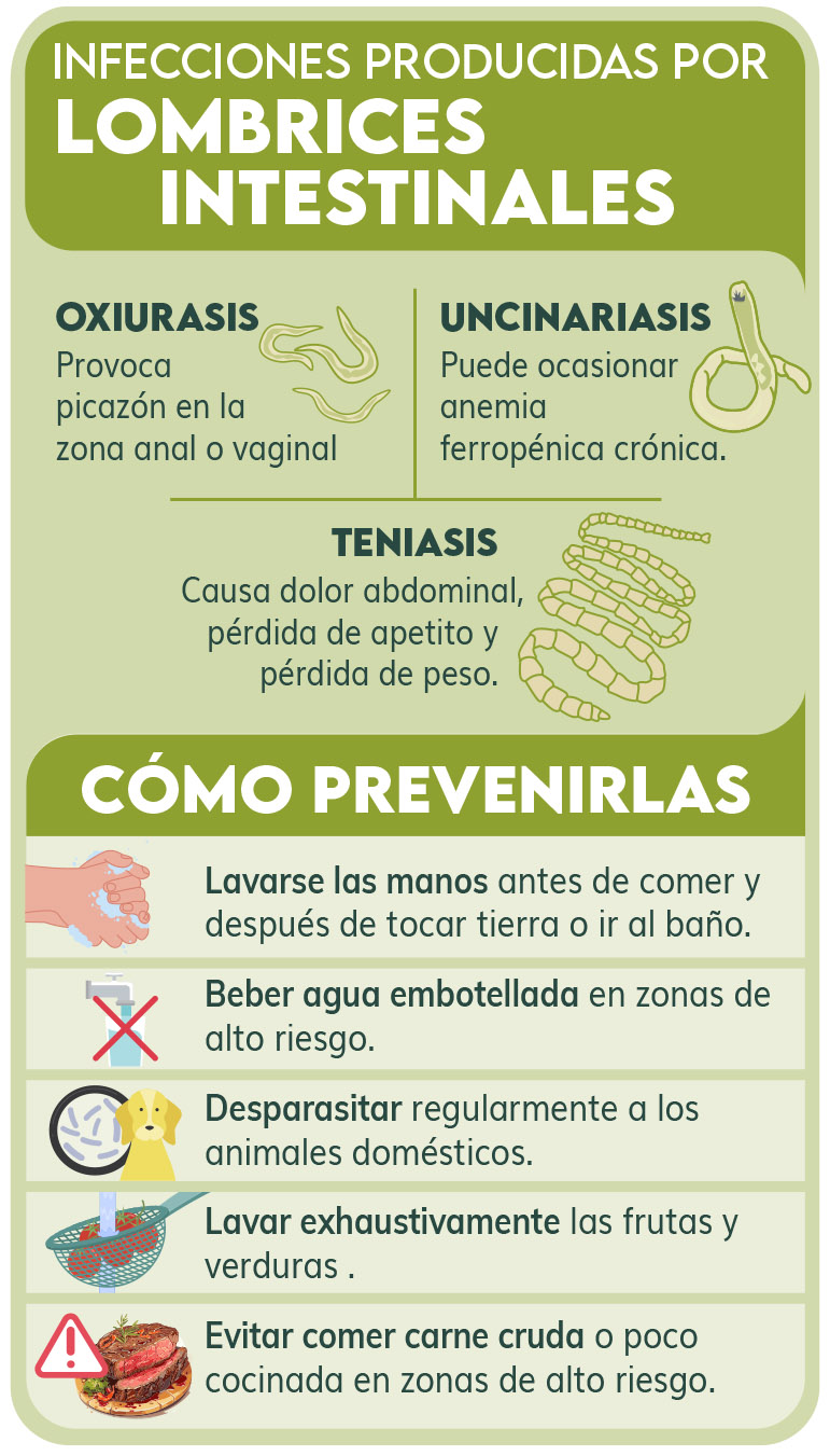 Infografía - Lombrices intestinales