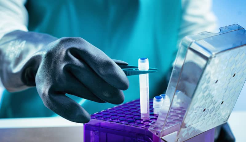 Las células madre del cordón umbilical se utilizan en trasplantes para tratar enfermedades graves como leucemia y linfoma.