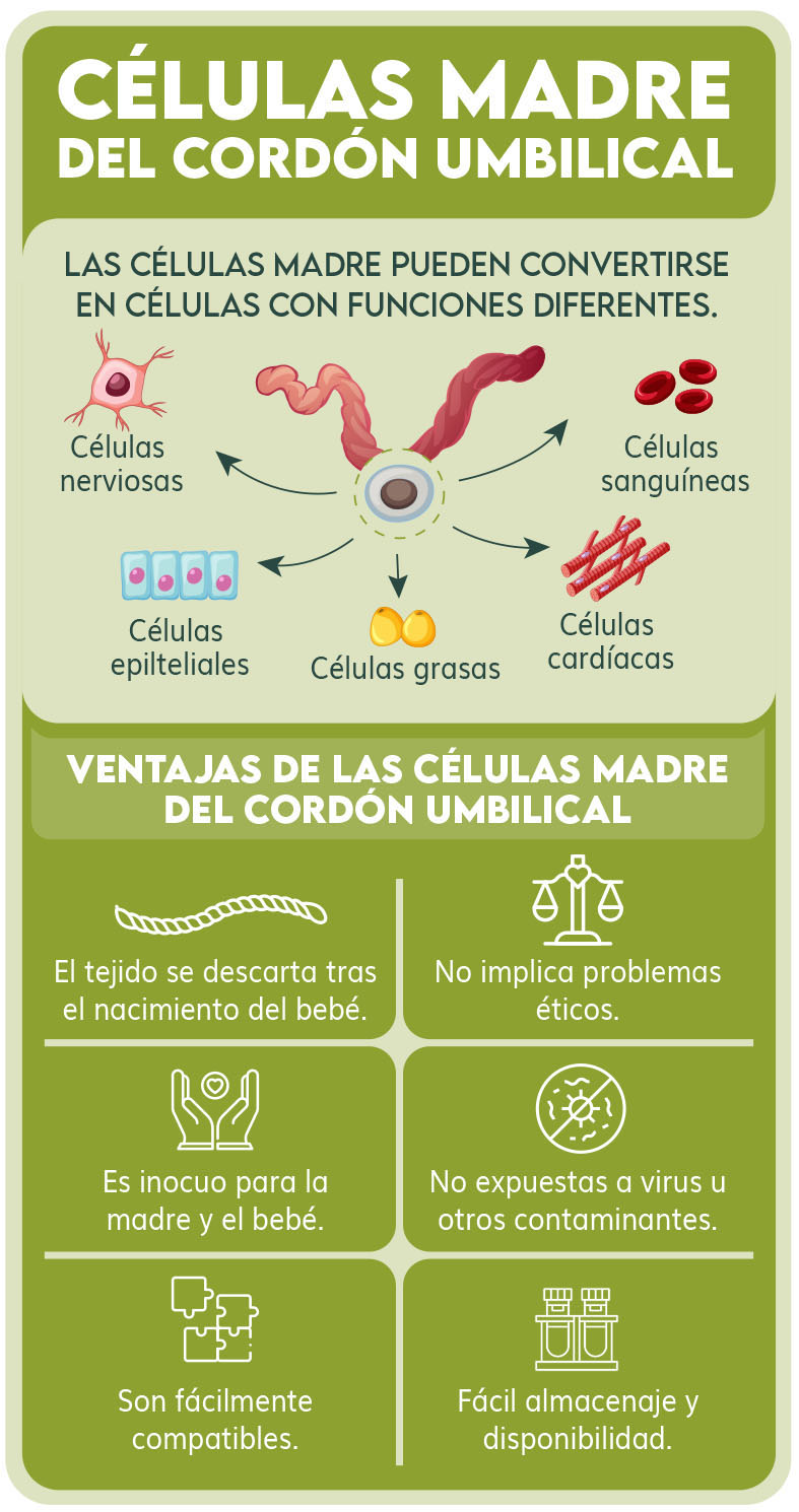 Infografía - Células madre del cordón umbilical