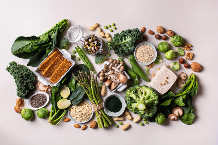 menú sin proteina animal