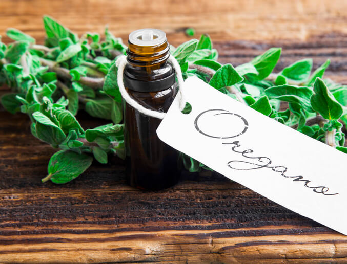 cultivar plantas comestibles en casa