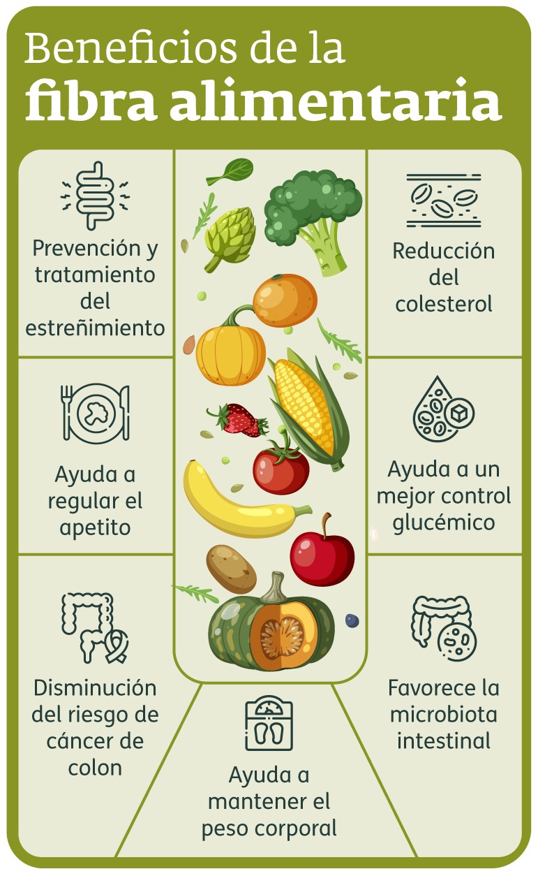 Infografía - Alimentos ricos en fibra