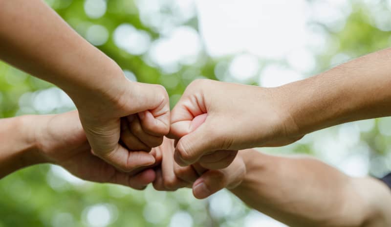 Cuatro manos unidas en un gesto de puño con puño, formando un círculo de unión y solidaridad, al aire libre con un fondo verde, simbolizando el espíritu de colaboración en el día de la familia.