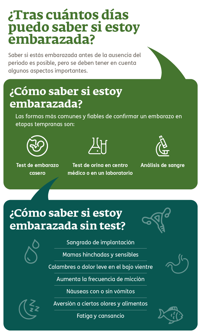 Infografía - cuando hacer la prueba de embarazo