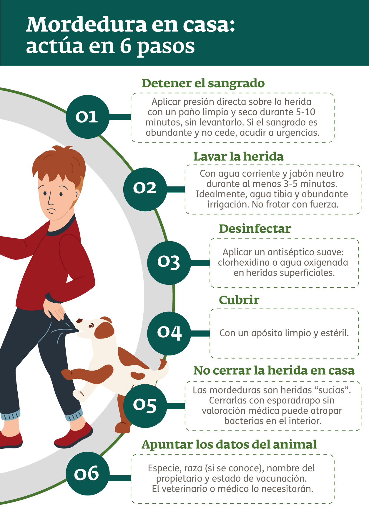Infografía - Mordedura en casa