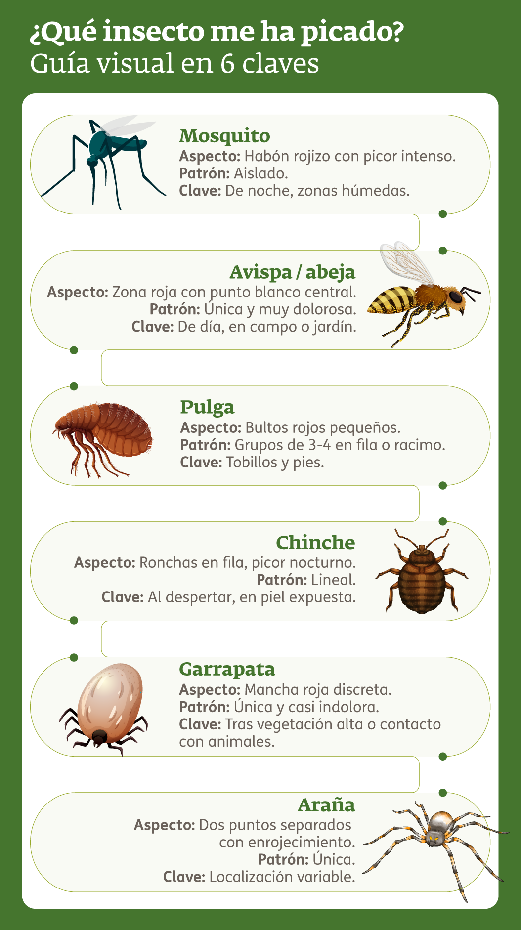 Infografía - Picadura insecto