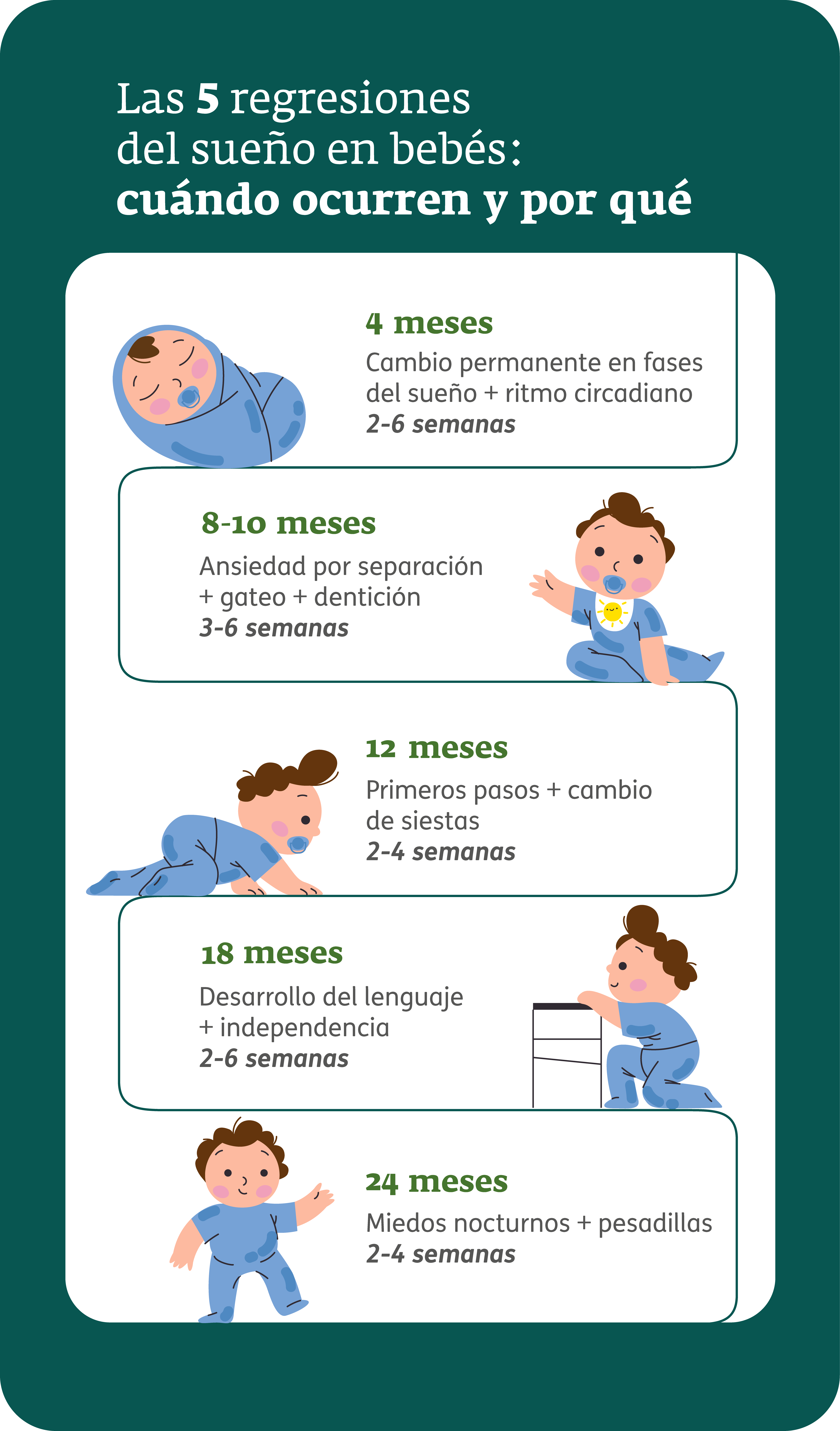 Infografía - Regresión del sueño en bebés