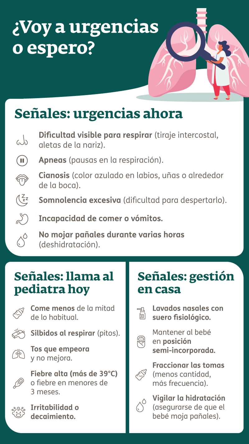 Infografía - Bronquiolitis