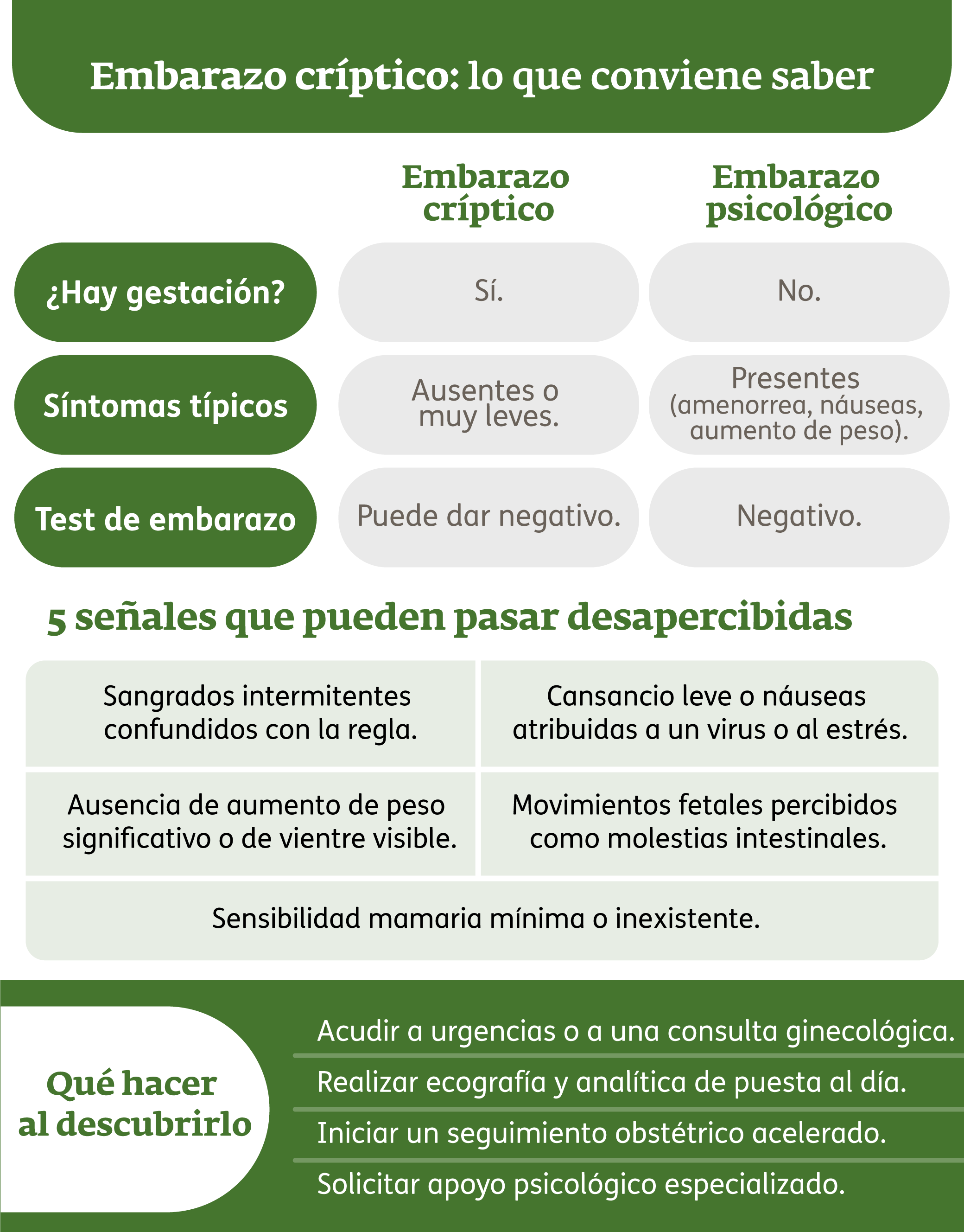 Infografía - Embarazo críptico