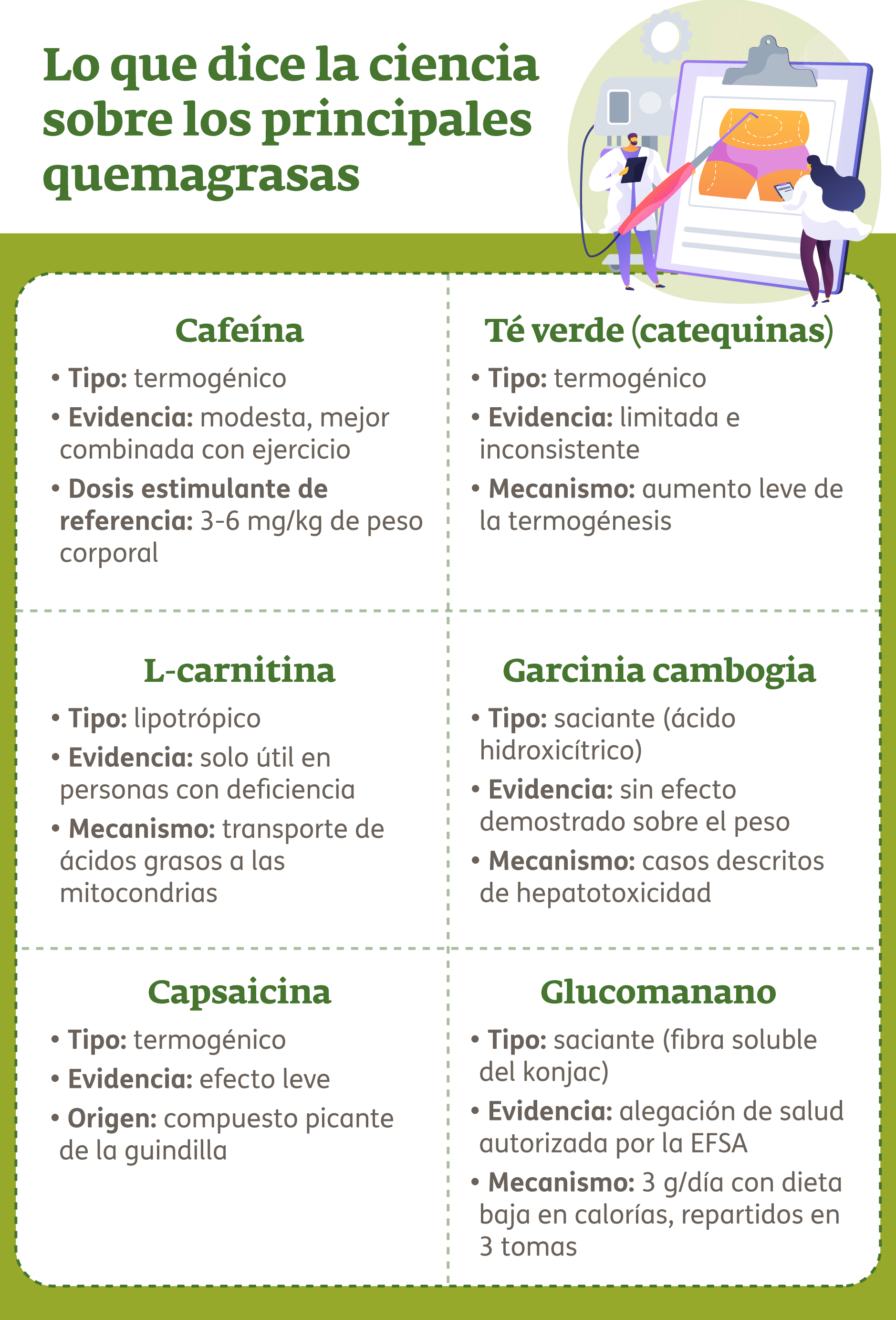 Infografía - Funcionan los quemagrasas