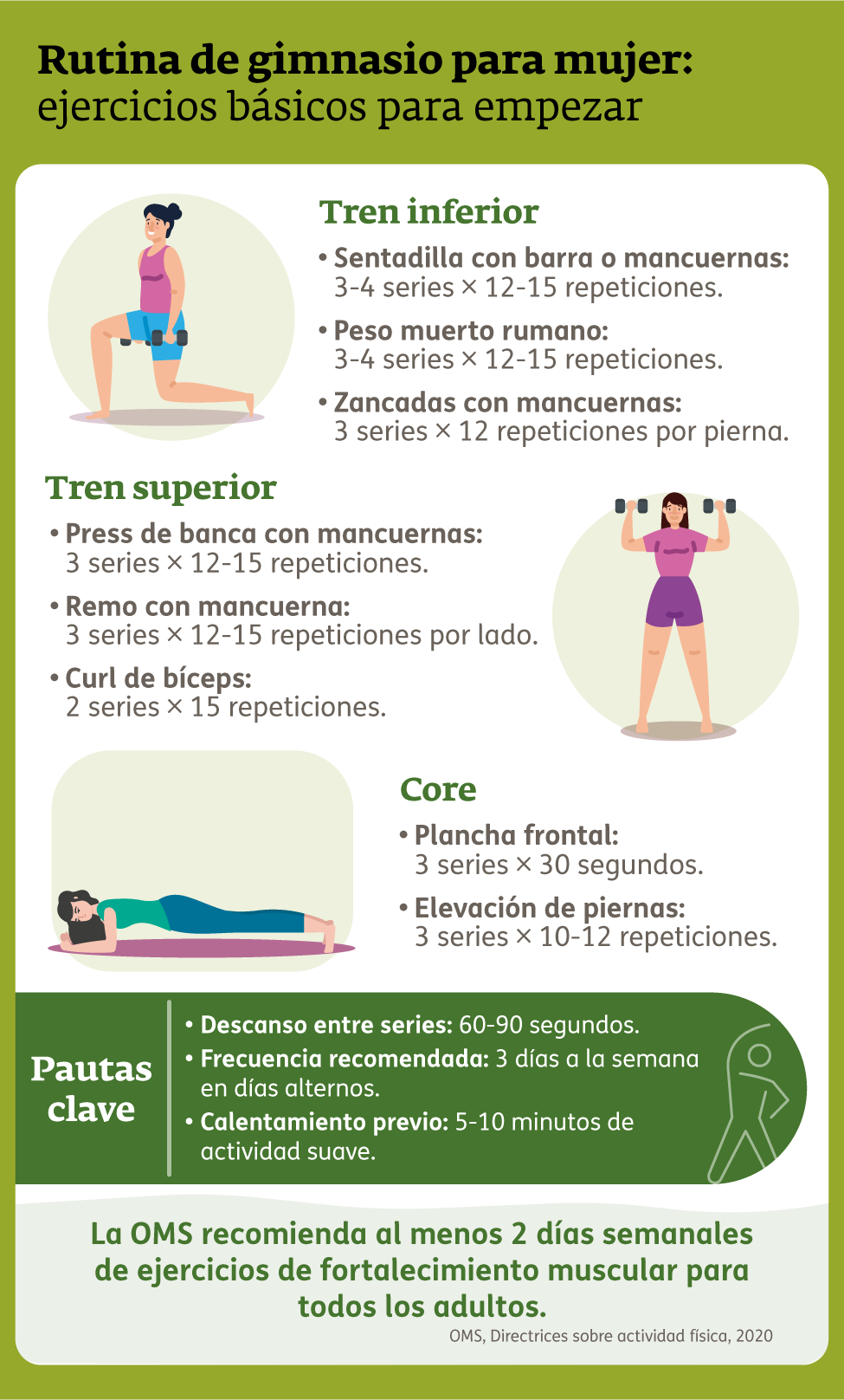 Infografía - Rutina gimnasio mujer