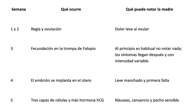 Tabla informativa sobre lo que ocurre y cómo lo vive la madre en las 6 semanas de embarazo