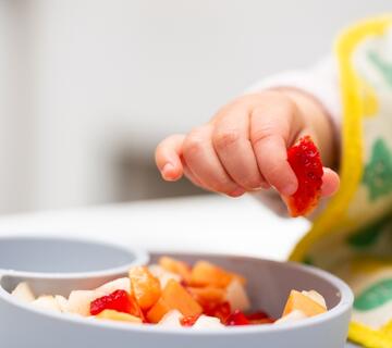 alimentacion infantil por etapas complementaria.jpg