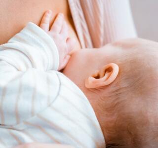 alimentacion infantil por etapas