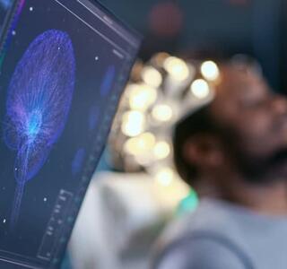 hemisferios del cerebro