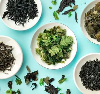 Variedades de algas comestibles