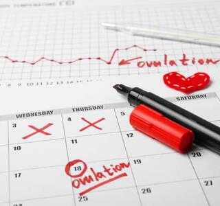 Utilizar un calendario de ovulación te permite predecir cuándo ovulas, lo que aumenta tus posibilidades de concepción.