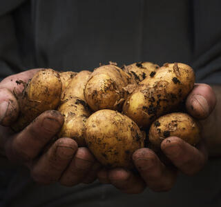 alimentos de proximidad