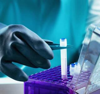 Las células madre del cordón umbilical son una fuente importante en medicina regenerativa por su bajo riesgo de rechazo inmunológico.