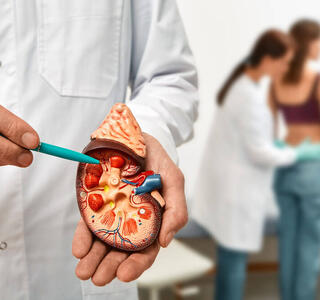 eliminar piedras del rinon