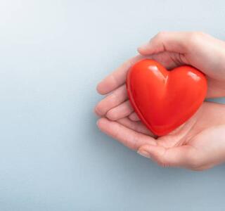 Manos sosteniendo un corazón rojo simbólico sobre fondo claro, ilustrando la importancia de evitar los 10 peores alimentos para el corazón para proteger la salud cardiovascular