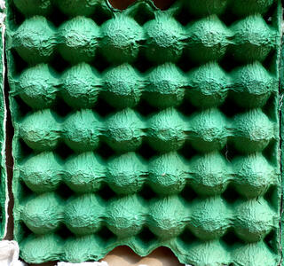 cartones de huevo como aislantes de sonido