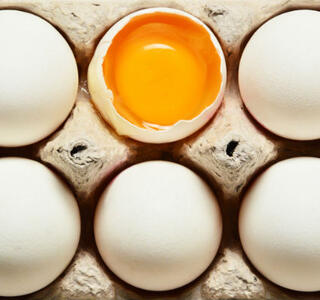 proteina del huevo y deporte