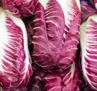 radicchio
