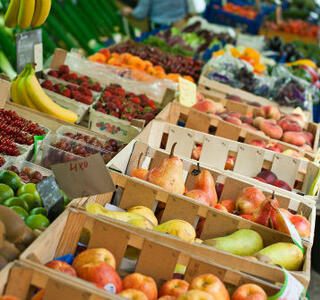 Dieta vegetal: “Plant-Based Diet”