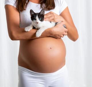 Embarazo y toxoplasmosis