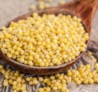 mijo alternativa a la pasta y el arroz