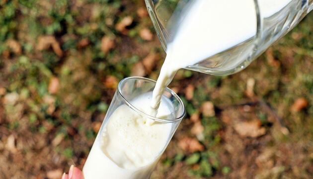 leche de vaca