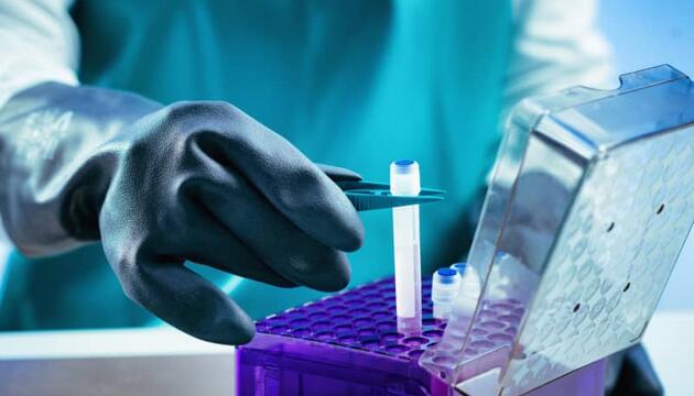Las células madre del cordón umbilical son una fuente importante en medicina regenerativa por su bajo riesgo de rechazo inmunológico.