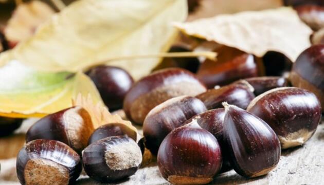 Época de castañas, beneficios y recetas castañas