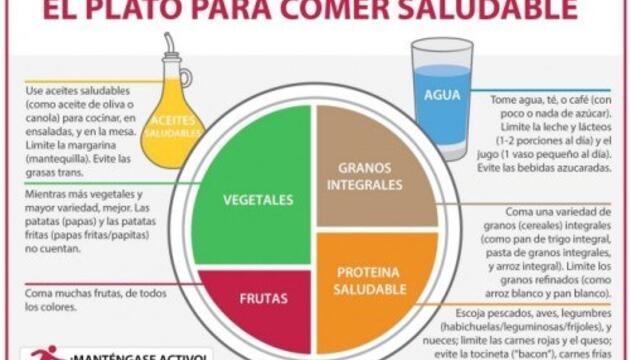 plato saludable plato saludable