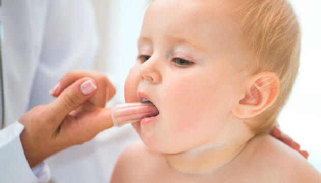Dientes de leche y dentición infantil Dientes del bebé