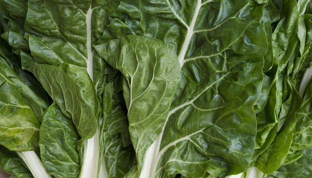 La cesta de la compra en octubre Hojas de lechuga