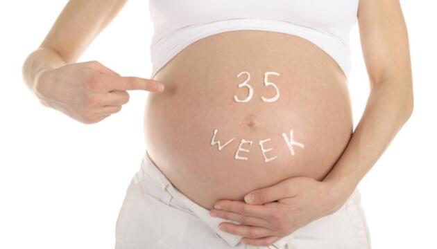 De la semana 33 de embarazo a la 35